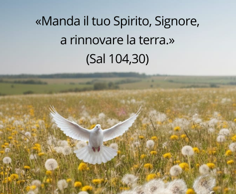 Vieni spirito Santo